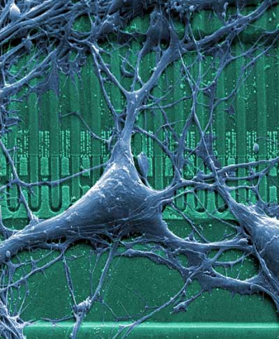 neurotechnology.co.uk