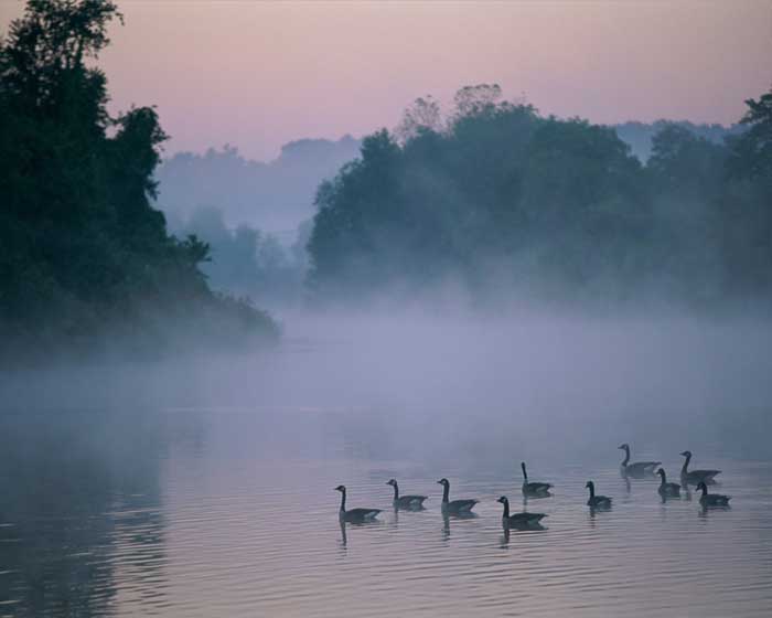 paradise-engineering and the Post-Darwinian Transition