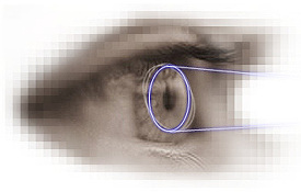 biometrics.es