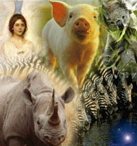 logo of true game conservancy trust