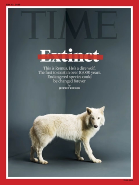 The Return of the Dire Wolf